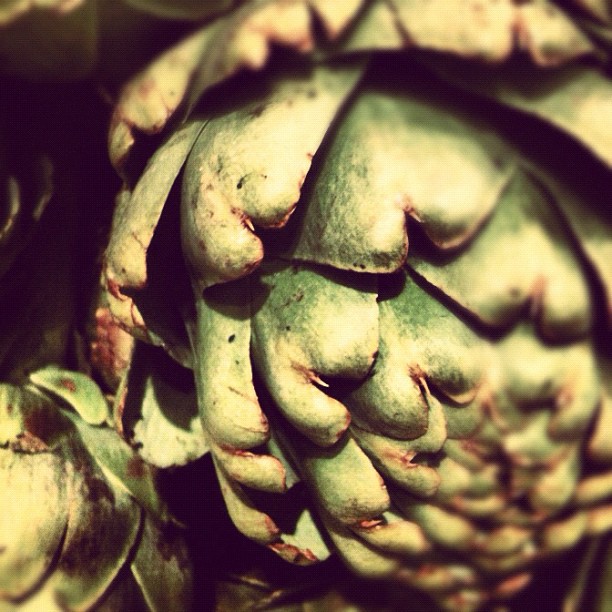 The Market Series - Sunchoke