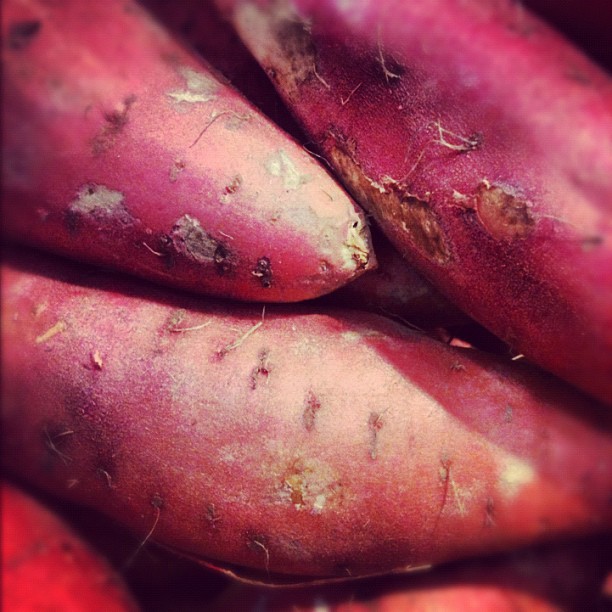 Sweet Potato