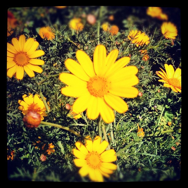 ממש מתחת לבית