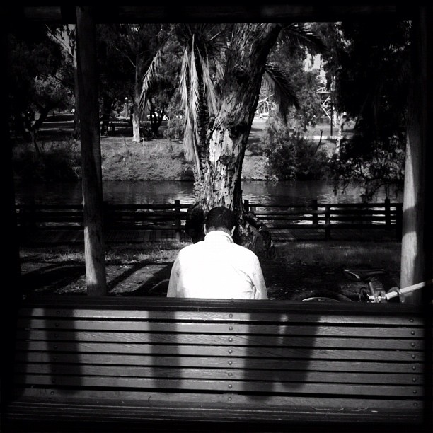 Going through a moody park theme lately...