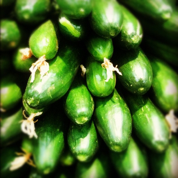 Cucombers