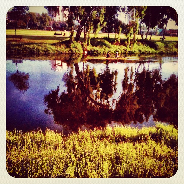 Reflections. It's been a while since I've been to the park near my home. Happy to see it's still there in its beauty...