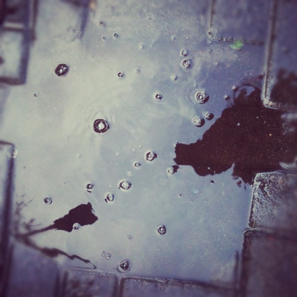 נפט בתל אביב?