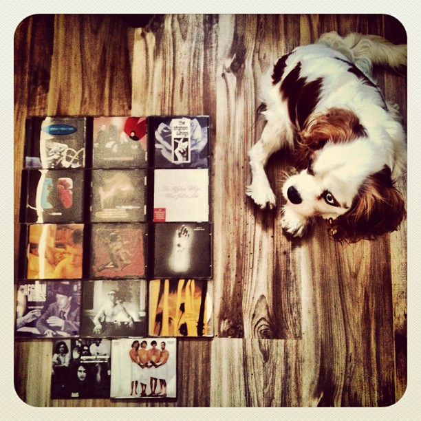 The Afghan Whigs will be playing tonight and tomorrow in Tel-Aviv! If you have the chance, go see one of the best bands ever. I'm going to be there tonight 
< />
<div class=